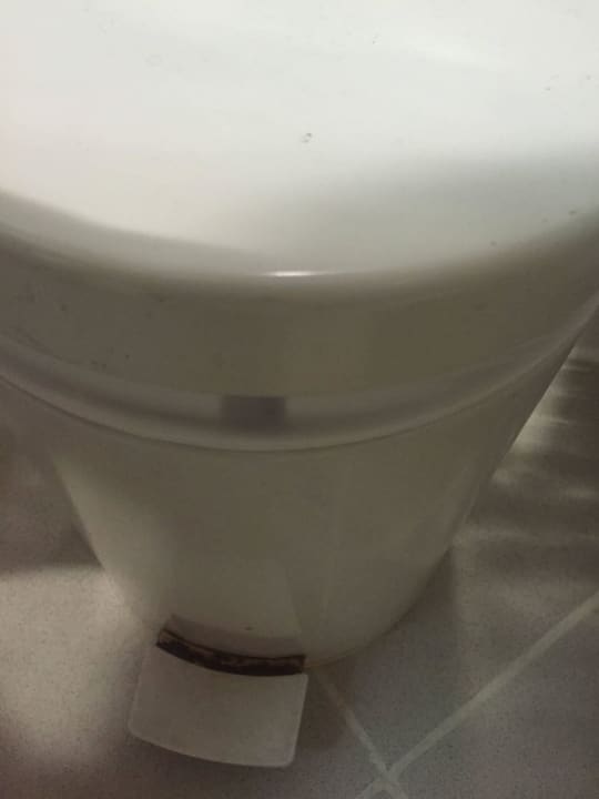 Mülleimer im Bad Swiss-Belhotel Sharjah