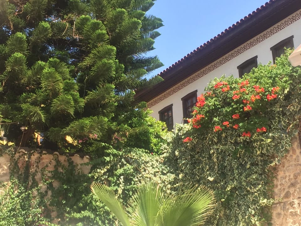 Einfach klasse! Dogan Hotel by Prana Hotels & Resorts