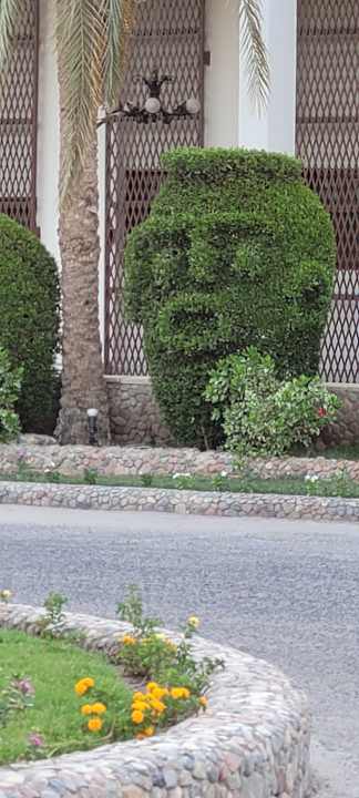 Gartenanlage Arabia Azur Resort