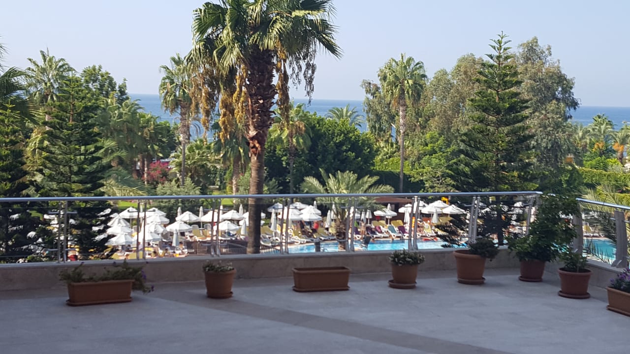 Sonstiges Arycanda Kirman Premium