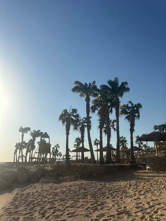 Strand Pickalbatros Citadel Resort