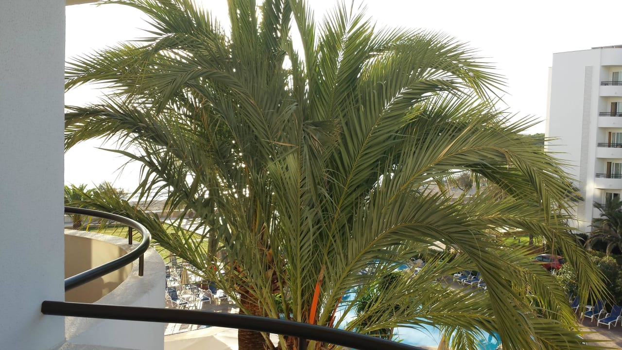 Seitlicher Meerblick 1 Hipotels Hipocampo Playa