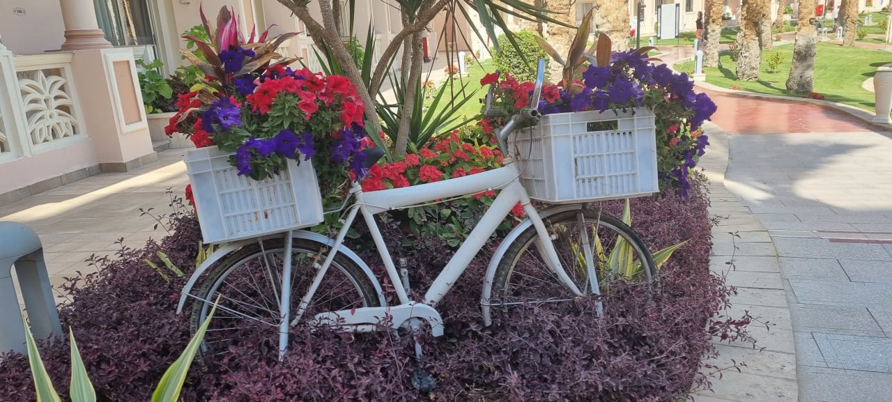 Gartenanlage Pickalbatros Palace Resort