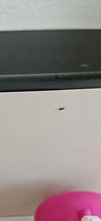 Zimmer Lido Residence