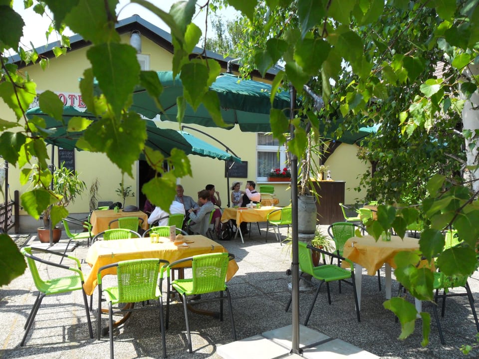Biergarten im Grünen Hotel Alte Molkerei Kölleda