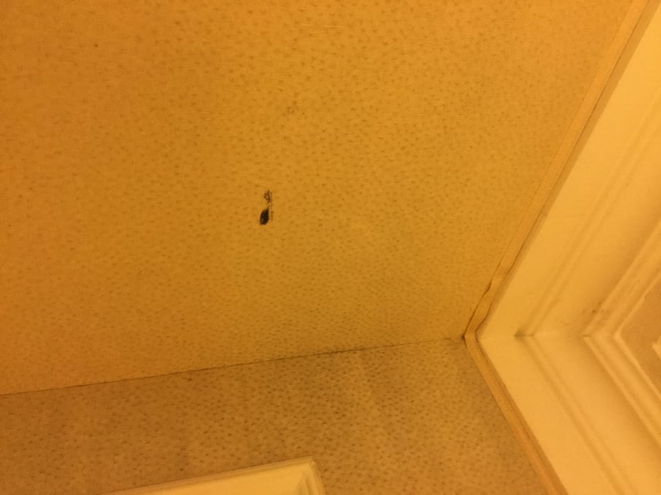 Zimmer Hotel Cannes Palace