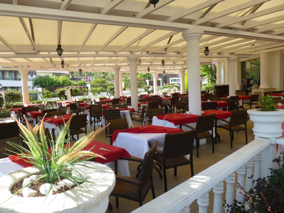 Türkischer Abend  Alba Queen Hotel