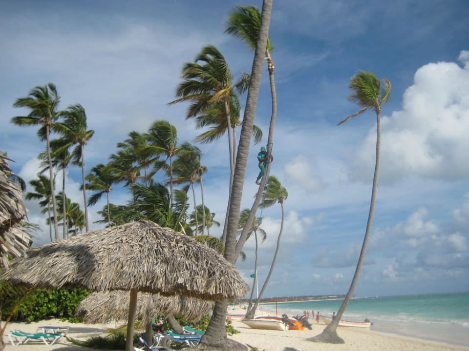 Strand Hotel Grand Palladium Palace Resort, Spa & Casino