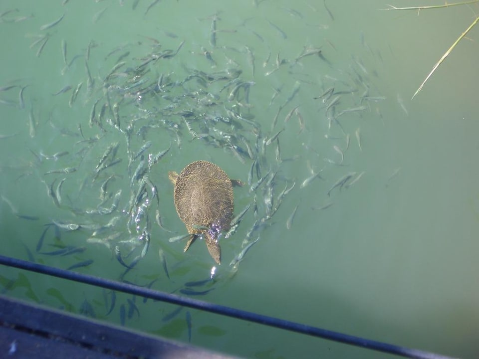 Von der Strandbrücke Grand Seker Hotel