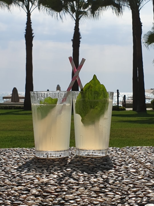 Gastro Acanthus Cennet Barut Collection