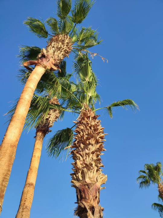 Außenansicht Amarina Abu Soma Resort & Aquapark