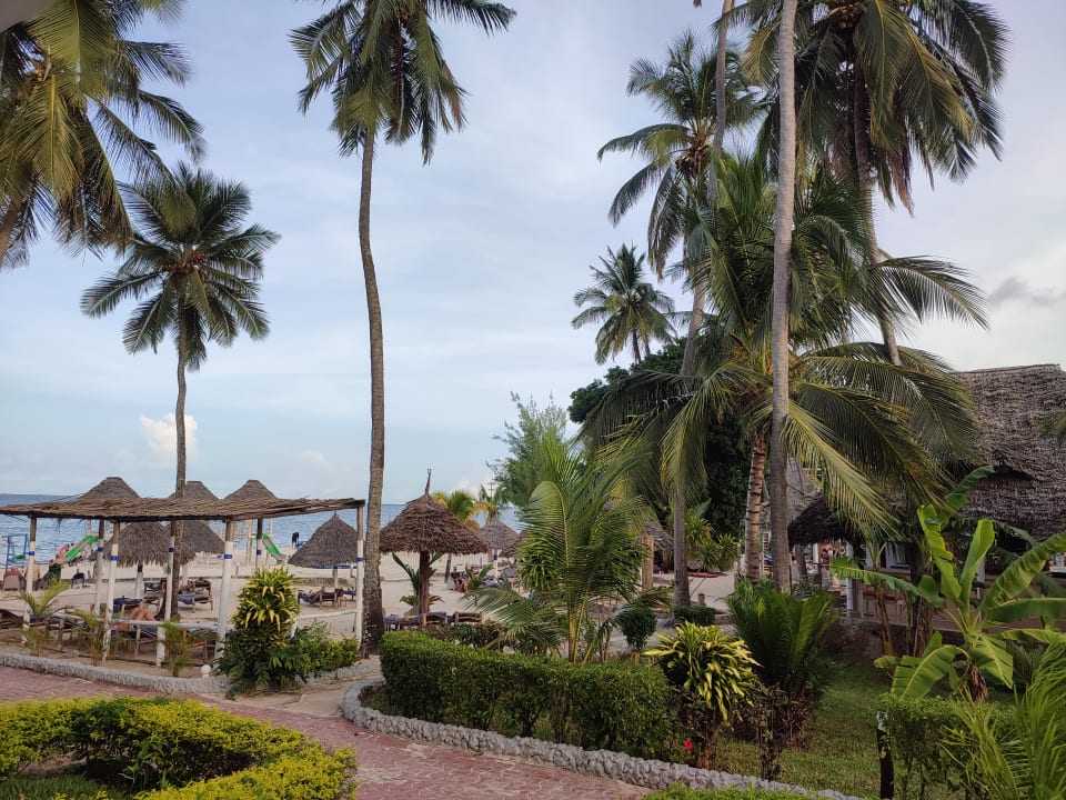 Gartenanlage Zanzibar Bay Resort & Spa