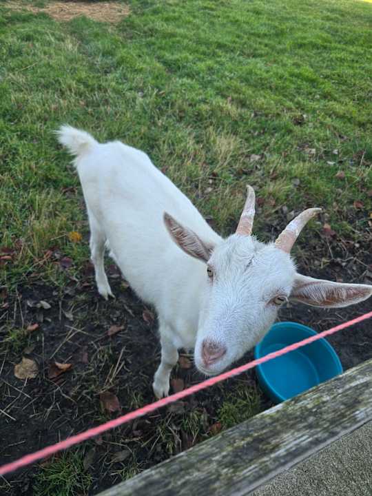 Sonstiges Ferienhof Becker