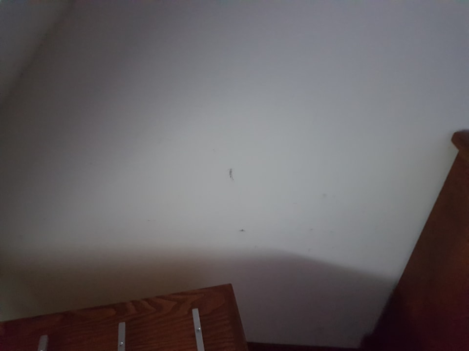 Zimmer Hotel Carpini