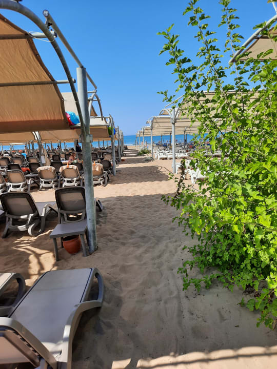 Strand Aydinbey Kings Palace & Spa