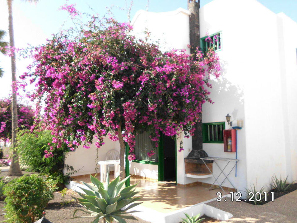 Buganvilla Hotel Hyde Park Lane