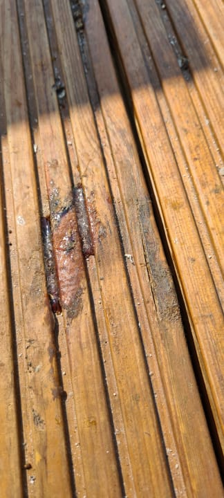 Sonstiges Aldiana Club Rocca Nettuno Calabria