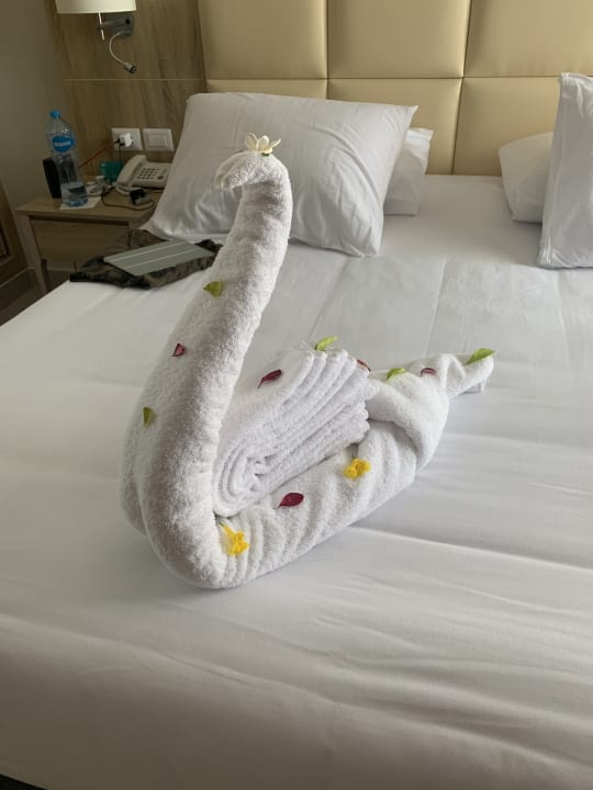Zimmer JAZ Elite Casa del Mar Beach