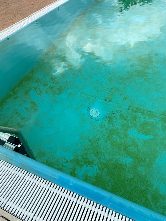 Pool Hotel Bella Lazise