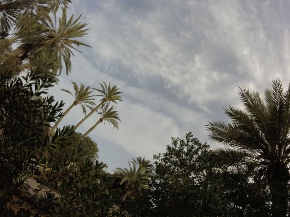 Himmel Hotel Sangho Club Zarzis