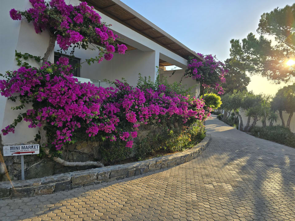 Zimmer Hotel Kakkos Bay