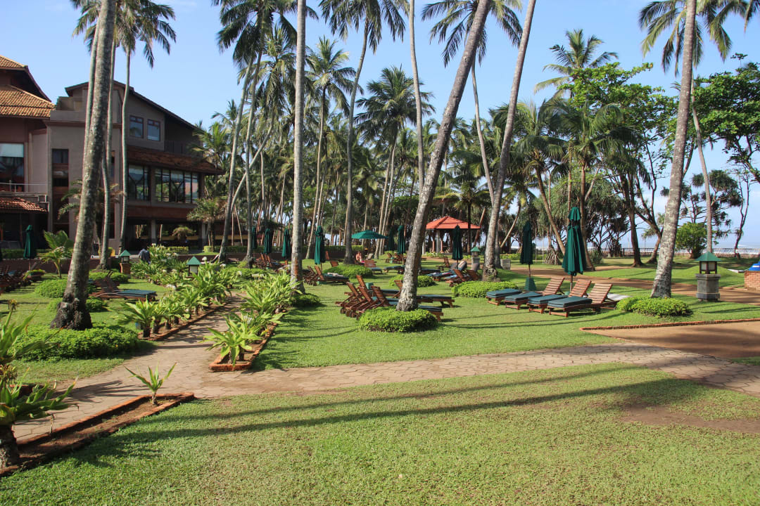 Gartenanlage Royal Palms Beach Hotel