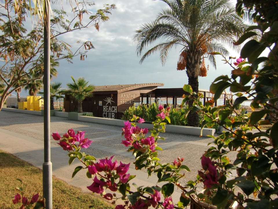 Strandlokal TUI BLUE Xanthe