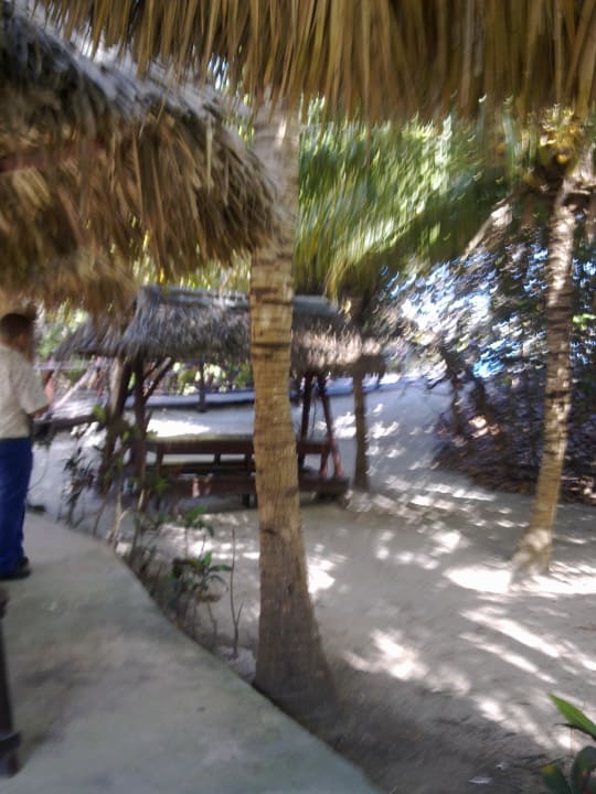 Beim Strandrestaurant Iberostar Origin Playa Alameda