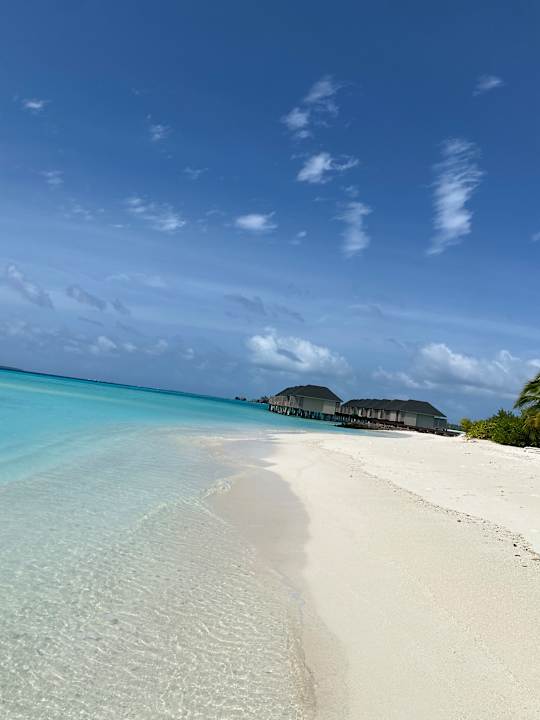 Strand Summer Island Maldives