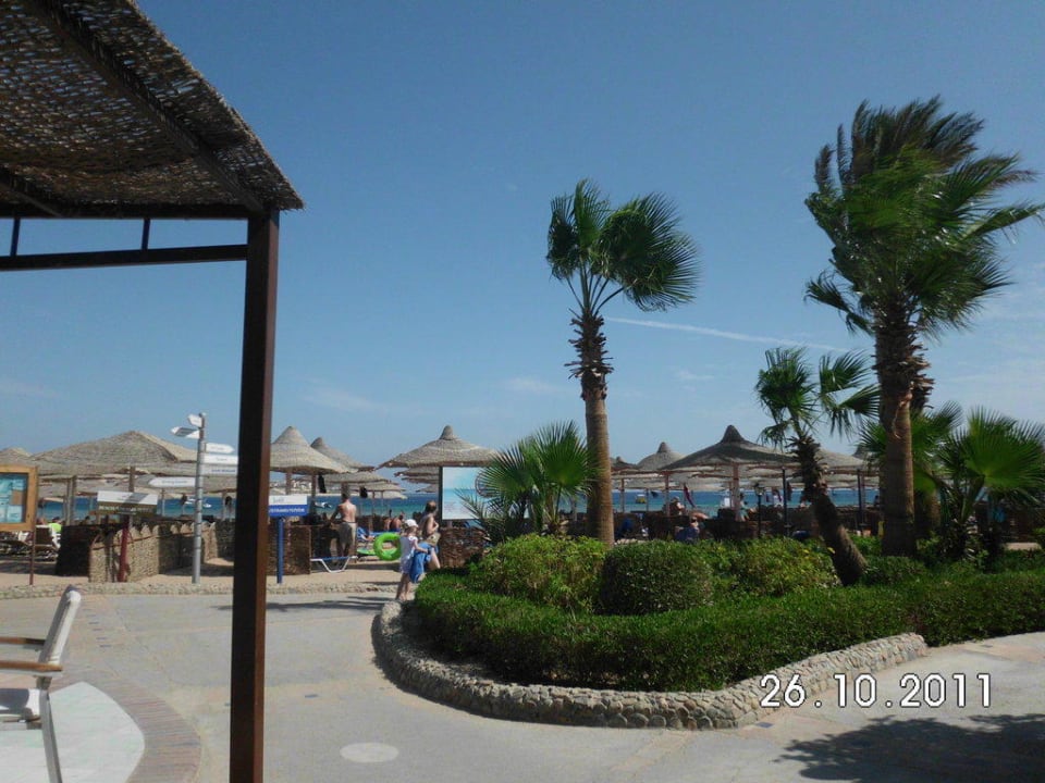 Blick auf den Strand Jaz Makadi Oasis Resort