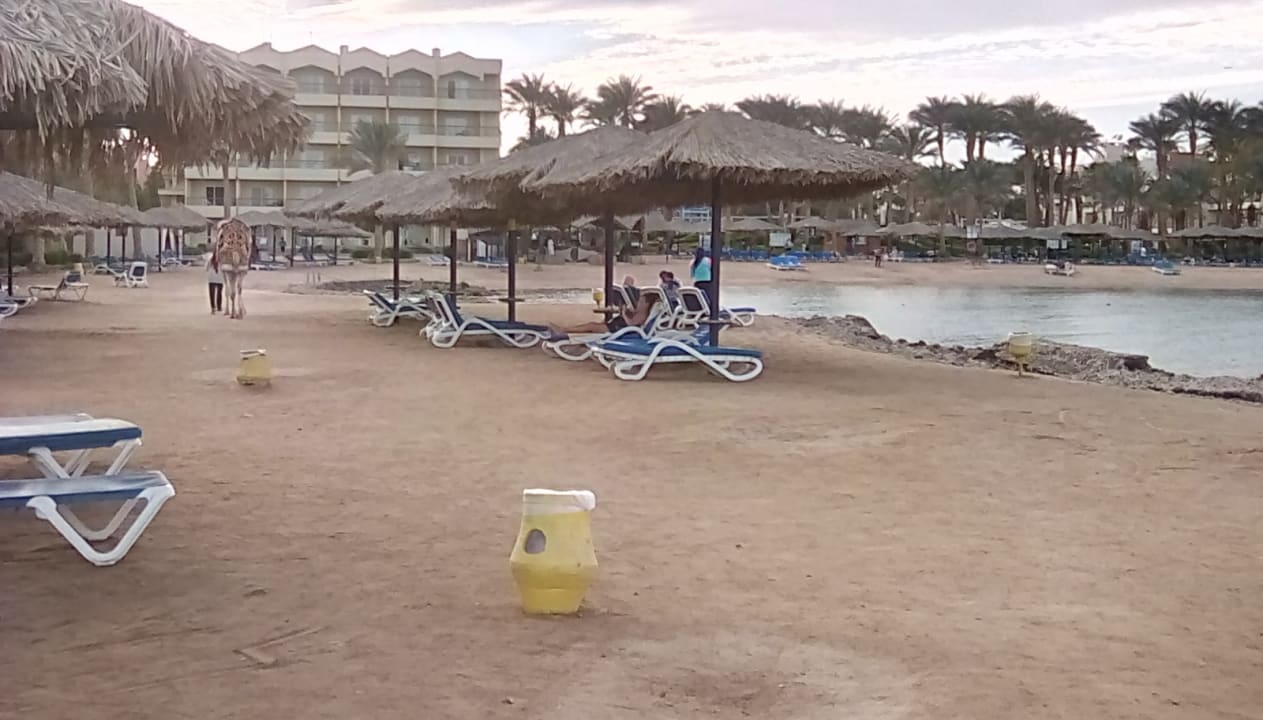 Strand Regina Resort and Aqua Park Hurghada