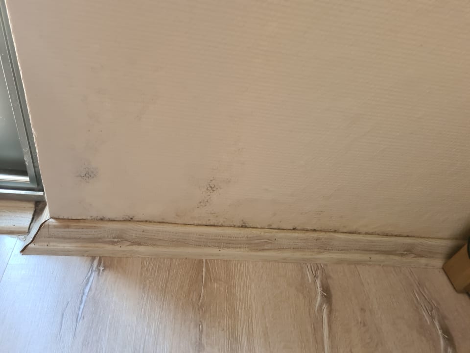 Zimmer Calimera Hane Garden