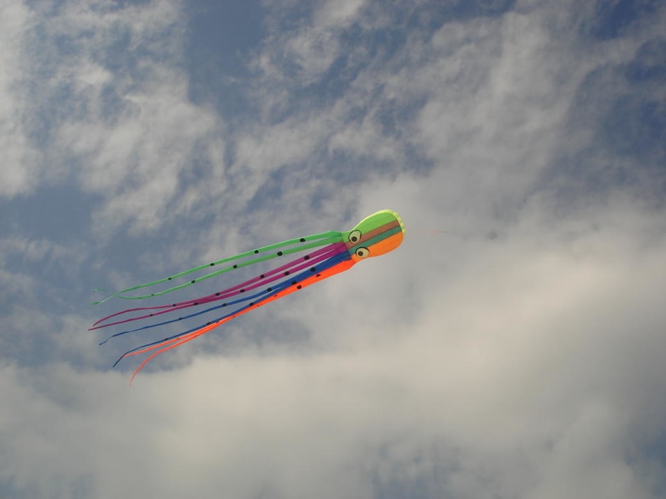 Хайнаньский змей Hotel Resort Intime