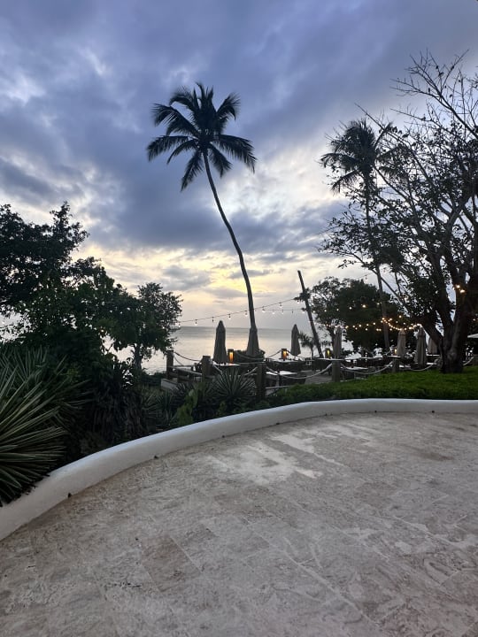Gartenanlage Secrets La Romana Resort & Spa - Adult Only
