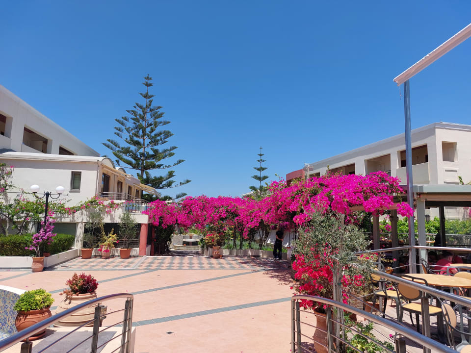 Gartenanlage Hydramis Palace Beach Resort
