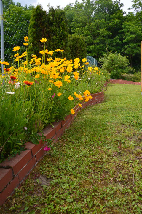 Gartenanlage Ferienwohnung Familie Stuhr