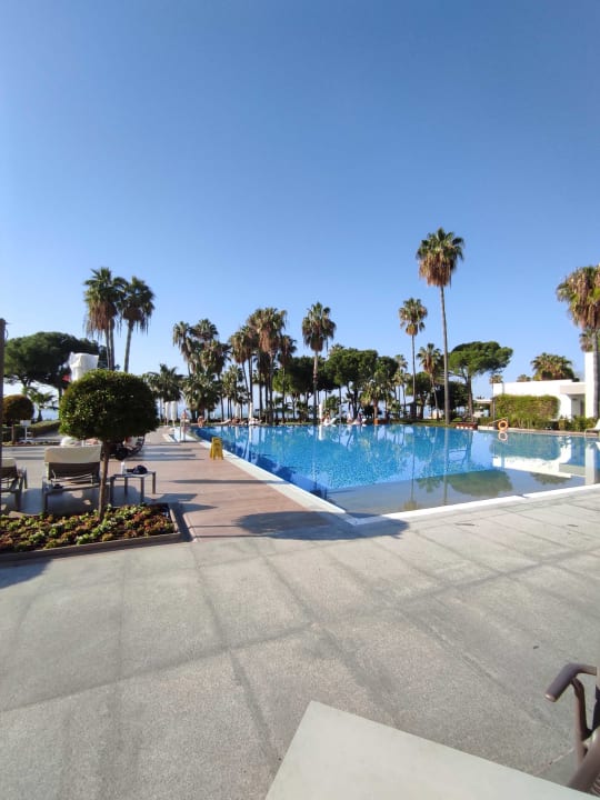 Pool Acanthus Cennet Barut Collection