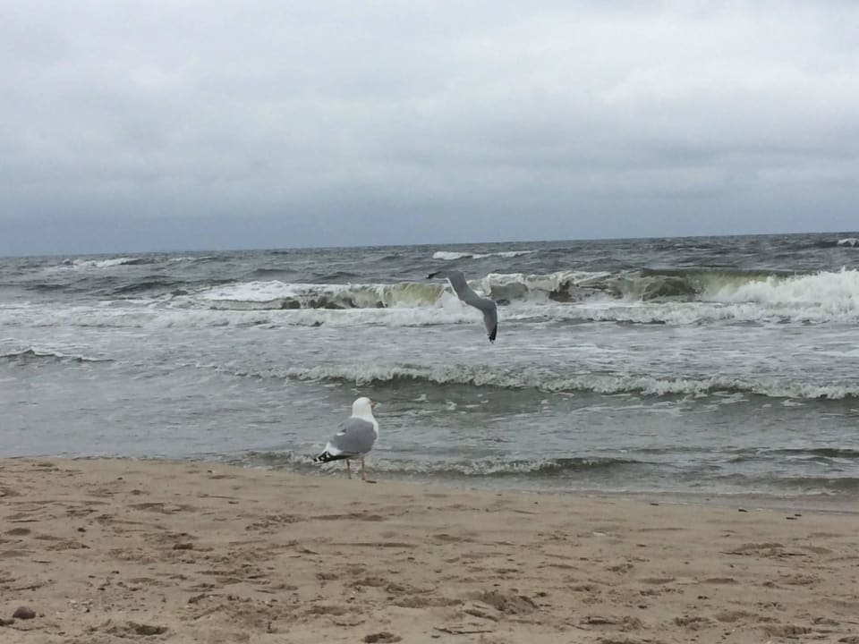 Ostsee im März Usedom Palace Hotel