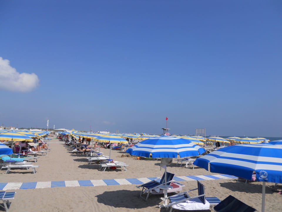 Sonnenschirme, soweit das Auge reicht.  B&B Hotel Chioggia Airone