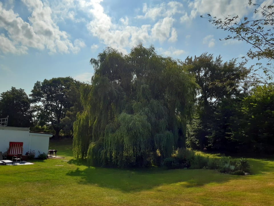 "Gartenanlage" HofHotel Krähenberg (Grömitz) • HolidayCheck (Schleswig