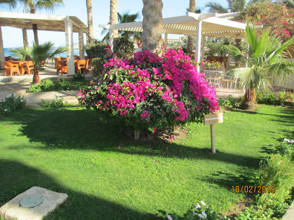 Garten Brayka Bay Resort