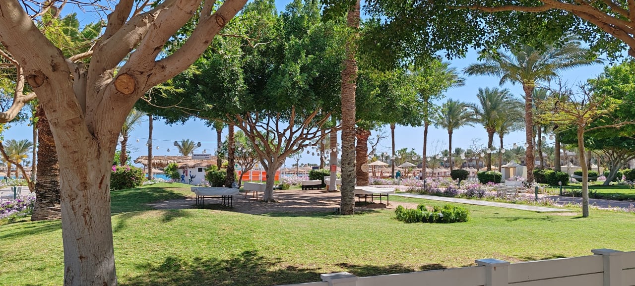 Gartenanlage Desert Rose