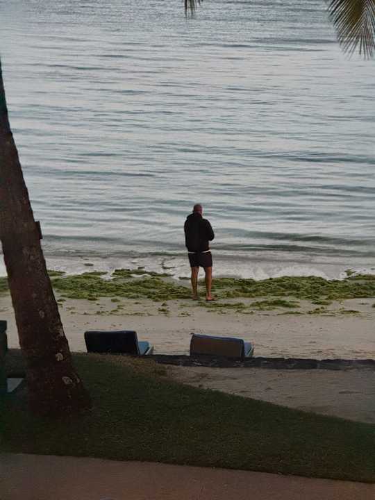 Strand Constance Belle Mare Plage