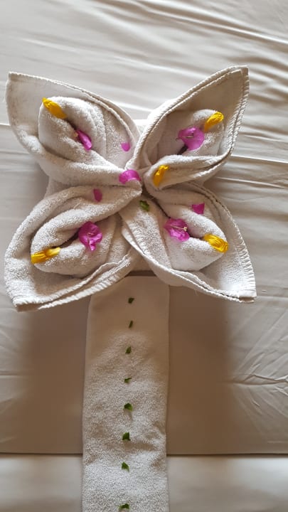 Zimmer Jaz Makadi Oasis Resort