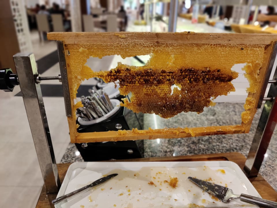 Gastro TUI KIDS CLUB Felicia Village