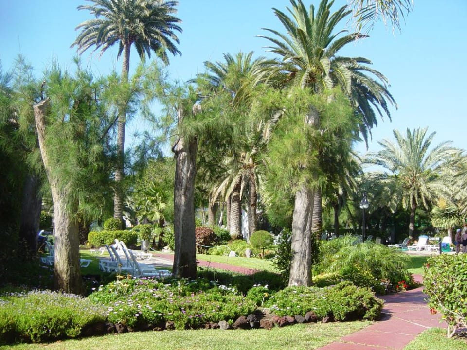 Im Garten des Hotels " Iberostar Costa Canaria" Bull Costa Canaria & Spa - Adults only