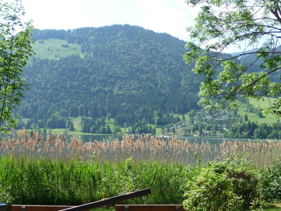 Ausblick Hotel Bellevue am See