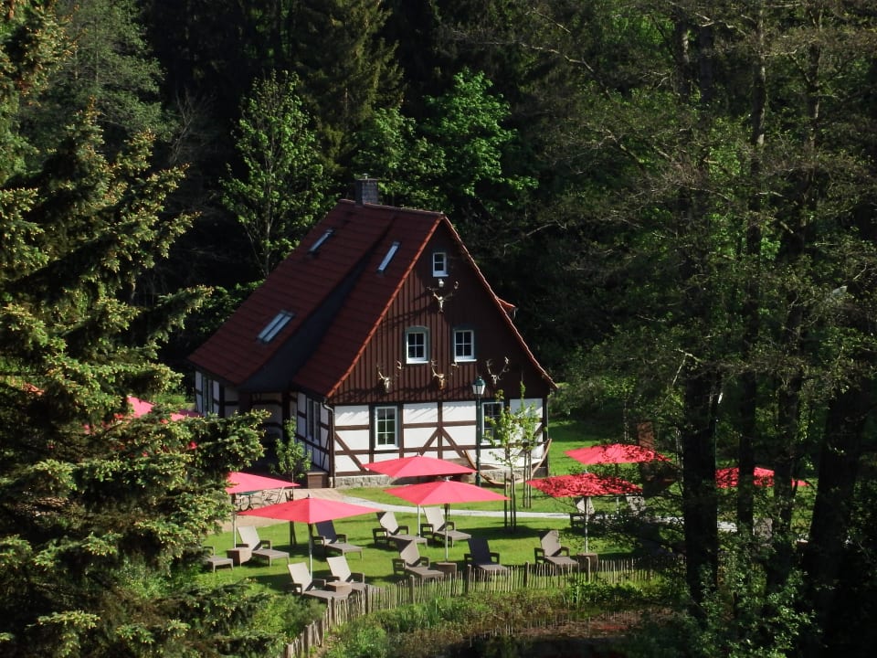 Holzeule von oben Naturresort & Spa Schindelbruch