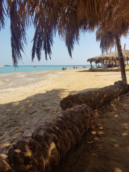 Strand Gravity Hotel & Aqua Park Hurghada