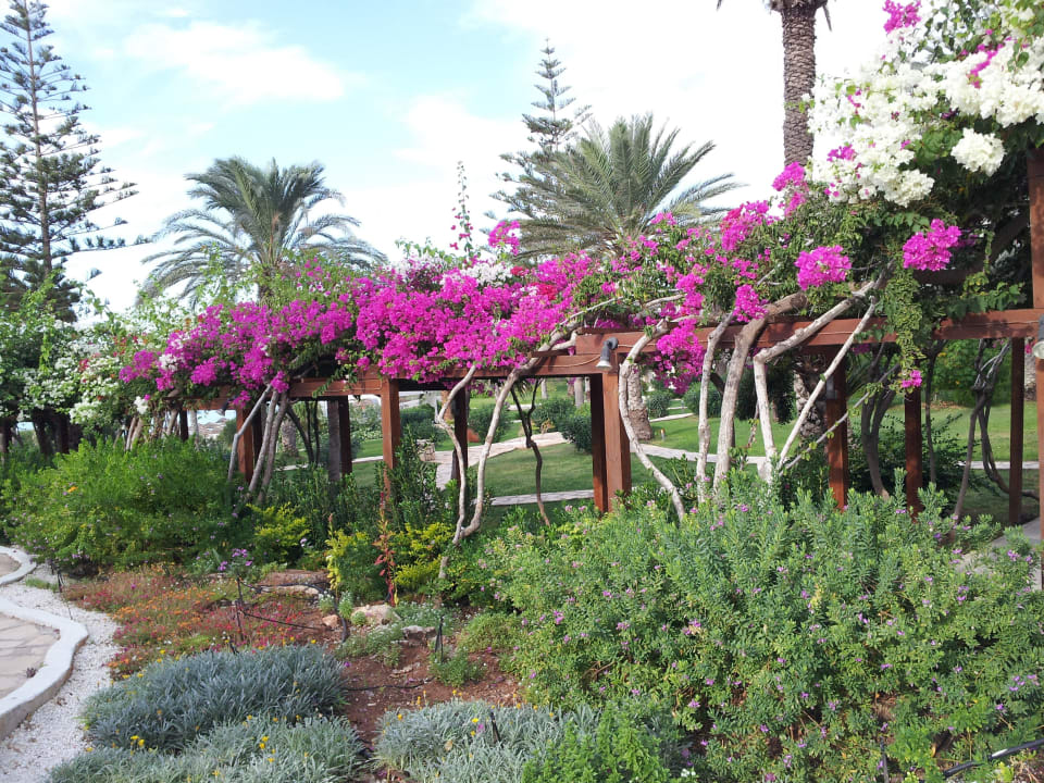 Unterwegs im Garten Hotel Nissi Beach Resort